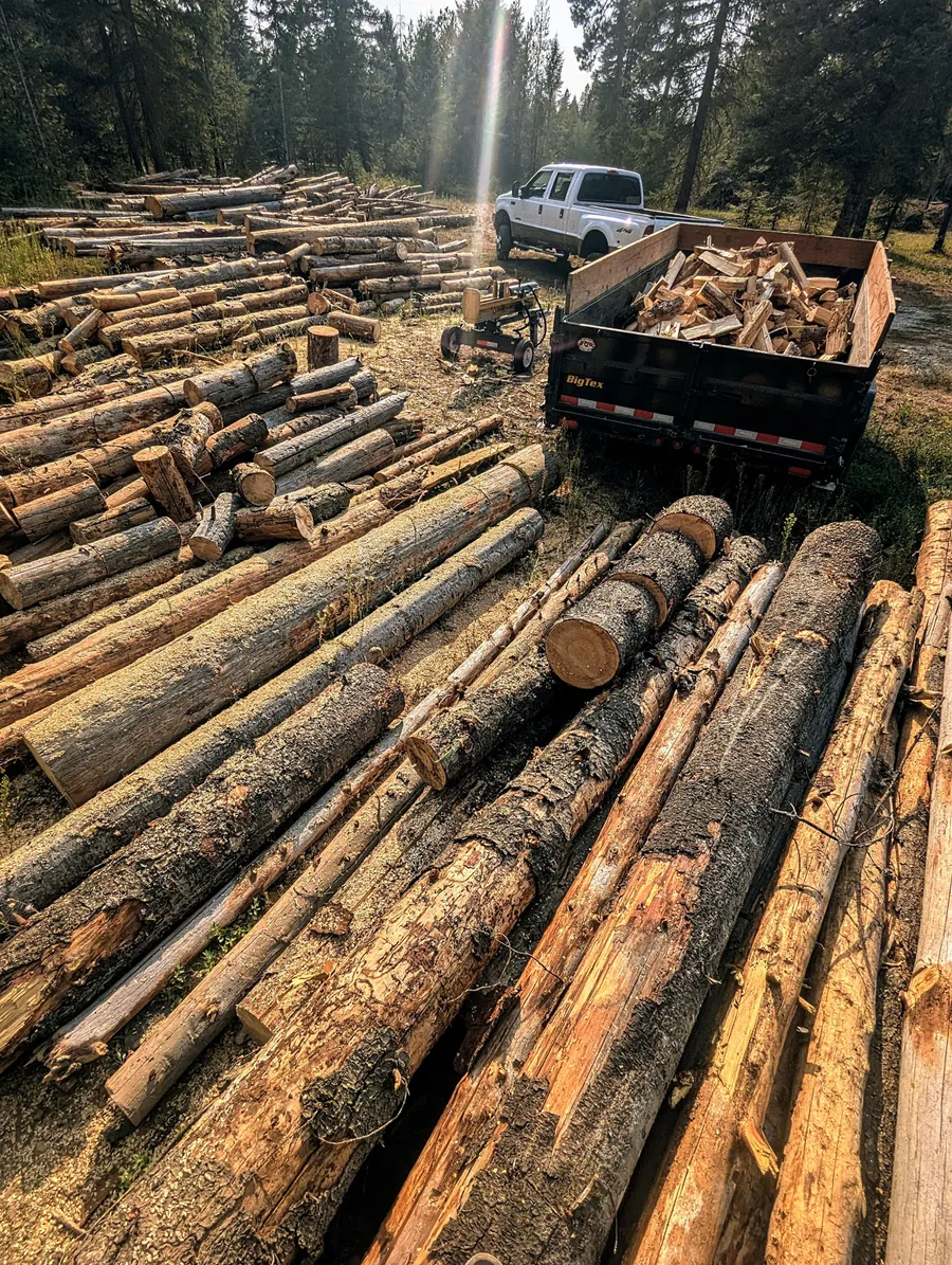 All logs stacked and cleared