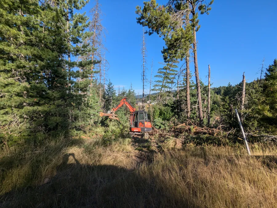 Excavator grabbing logs during forestry clearing